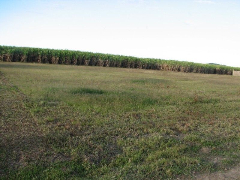 Lot 19 Mackenzies Road, Calen QLD 4798
