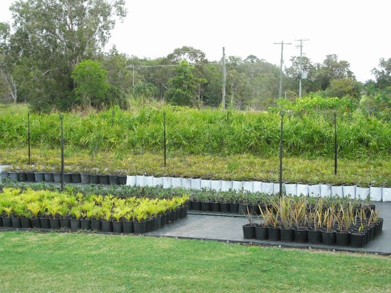 656 Mackay Bucasia Road, Rural View QLD 4740