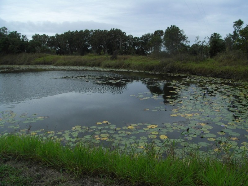 656 Mackay Bucasia Road, Rural View QLD 4740