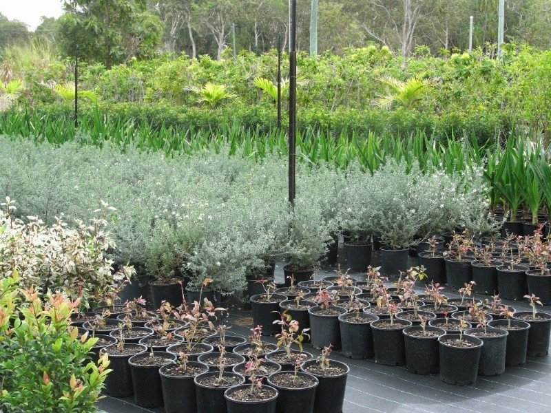 656 Mackay Bucasia Road, Rural View QLD 4740