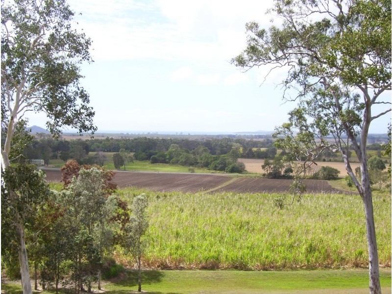 1377 Yakapari Seaforth Road, Mount Jukes QLD 4740