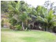 1377 Yakapari Seaforth Road, Mount Jukes QLD 4740