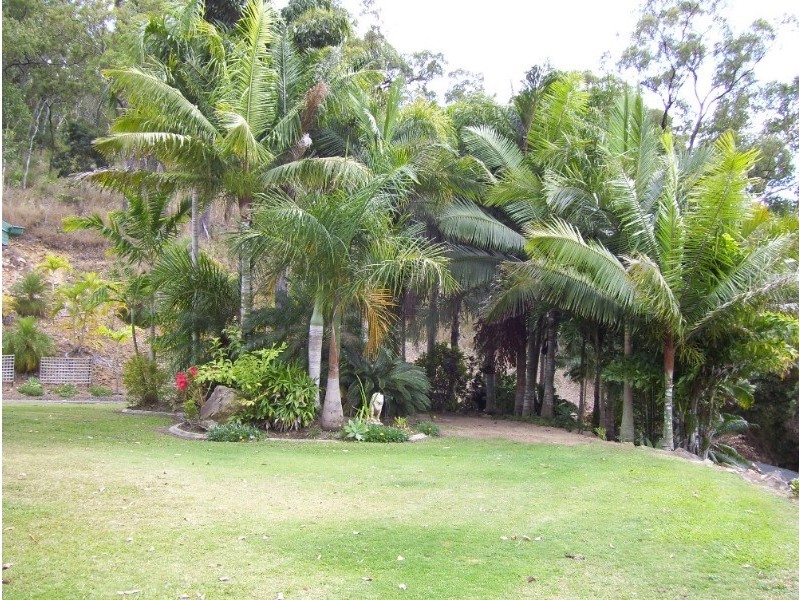 1377 Yakapari Seaforth Road, Mount Jukes QLD 4740