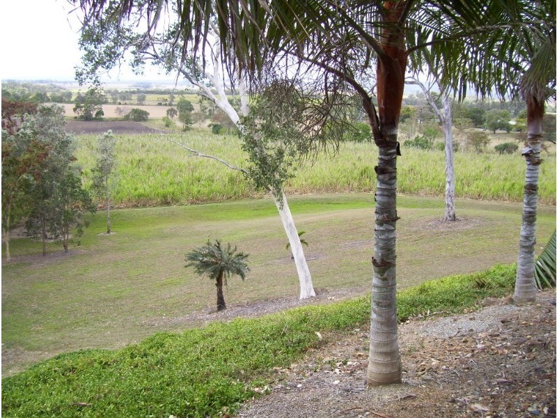 1377 Yakapari Seaforth Road, Mount Jukes QLD 4740