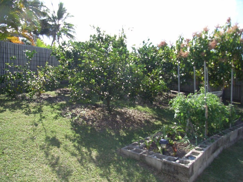 6 Lyn Court, Beaconsfield QLD 4740