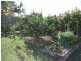 6 Lyn Court, Beaconsfield QLD 4740