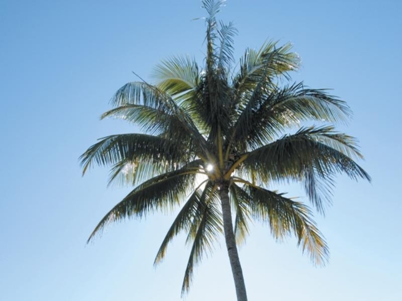 7/ Belangason Way, Shoal Point QLD 4750