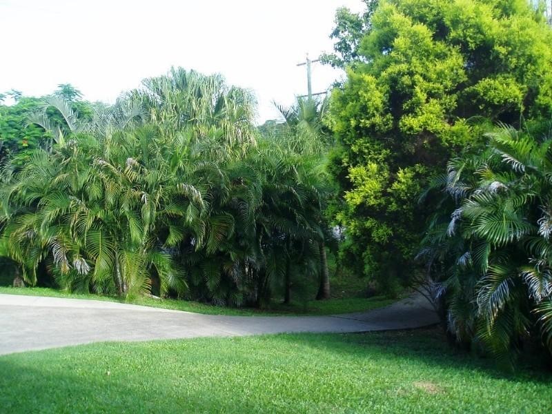 391 Mackay Habana Road, Habana QLD 4740