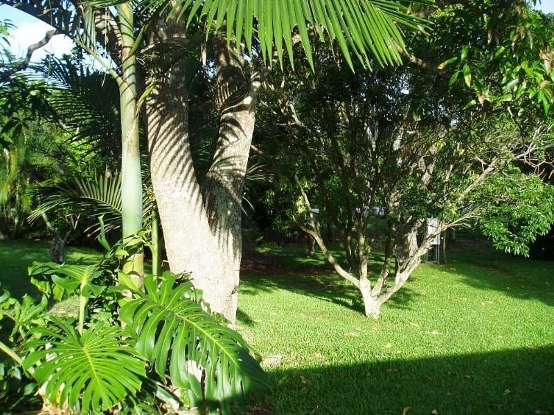 391 Mackay Habana Road, Habana QLD 4740