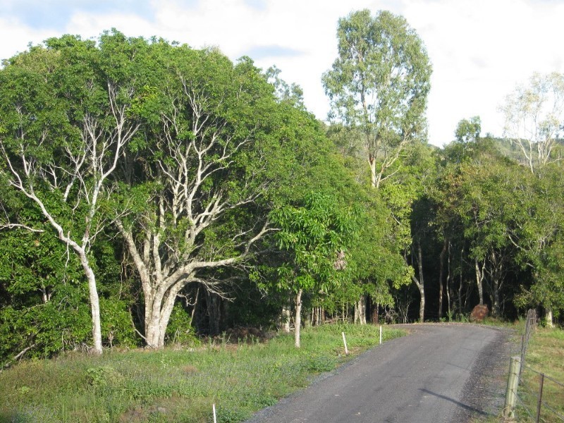 165 Gardiners Road, Habana QLD 4740