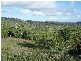 165 Gardiners Road, Habana QLD 4740