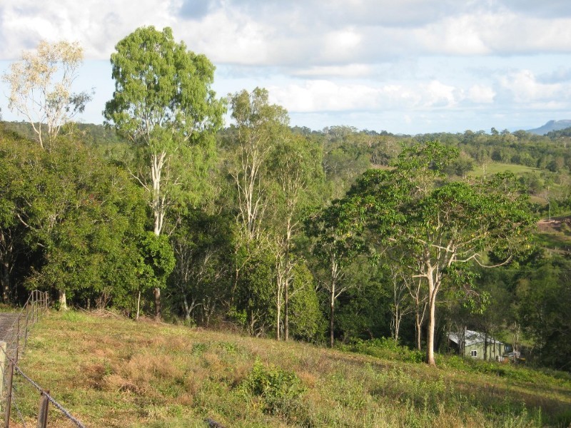 165 Gardiners Road, Habana QLD 4740