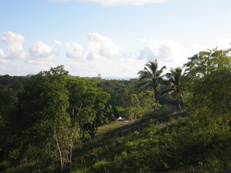 165 Gardiners Road, Habana QLD 4740