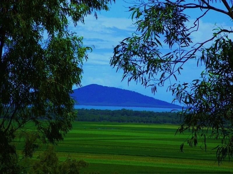 174 Howlands Road, Ilbilbie QLD 4738