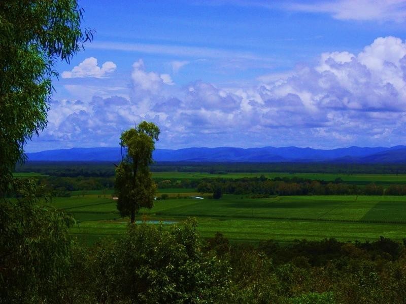 174 Howlands Road, Ilbilbie QLD 4738