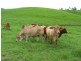 Lot 2 Mia Mia Connection Road, Mackay QLD 4740