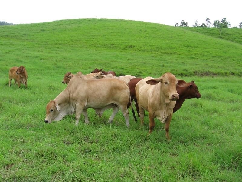 Lot 2 Mia Mia Connection Road, Mackay QLD 4740