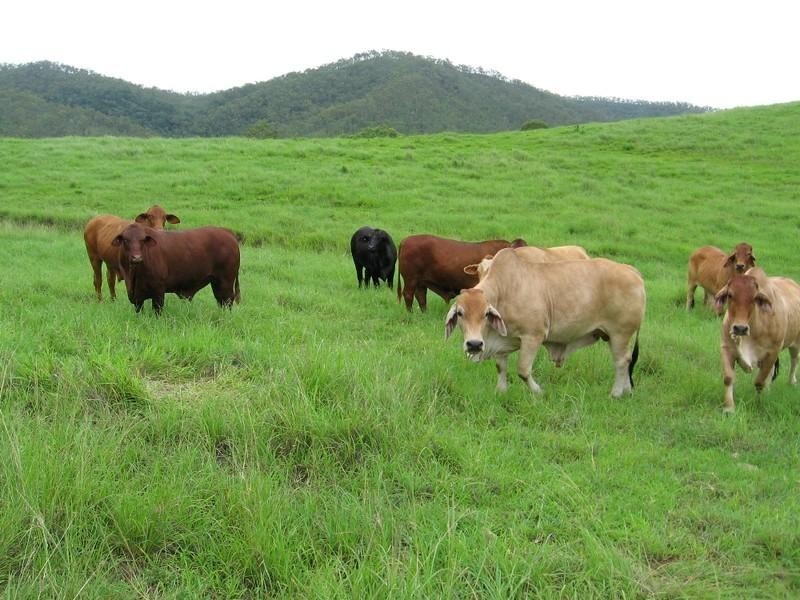 Lot 2 Mia Mia Connection Road, Mackay QLD 4740