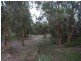 126 Waverley Street, Bucasia QLD 4750