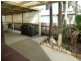 49 Tropical Avenue, Andergrove QLD 4740