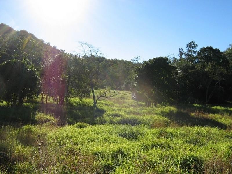 1219 Carmila West Road, Carmila QLD 4739