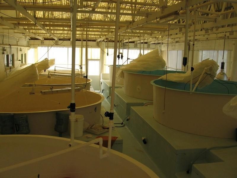 30,32 Grasstree Beach Road, Mackay QLD 4740