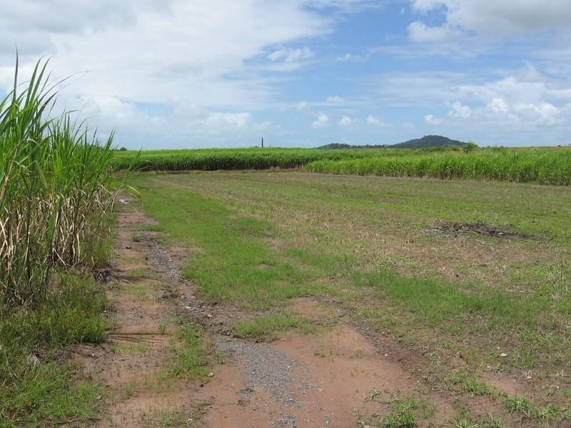 90 Knobels Road, Farleigh QLD 4741