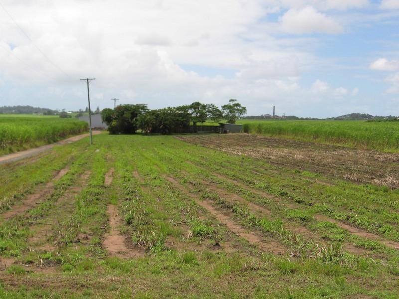 90 Knobels Road, Farleigh QLD 4741