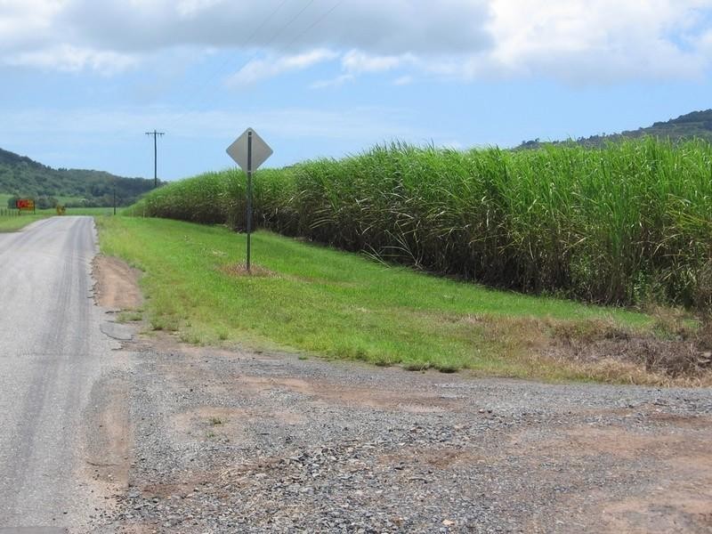 90 Knobels Road, Farleigh QLD 4741