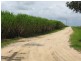 90 Knobels Road, Farleigh QLD 4741