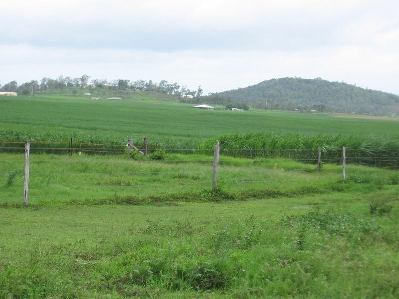 Lot 9 Wollingford Road, Walkerston QLD 4751