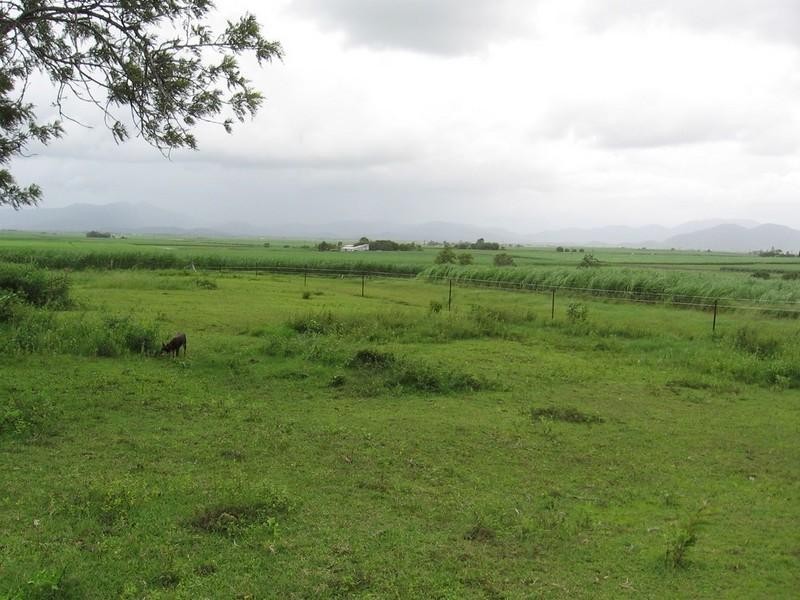 Lot 9 Wollingford Road, Walkerston QLD 4751