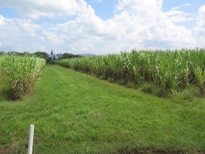 24165 Peak Downs Highway, Eton QLD 4741