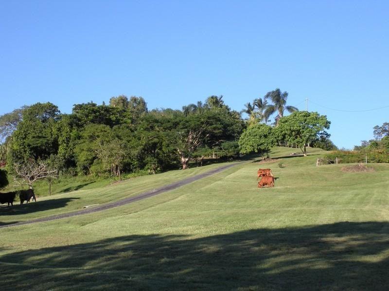 291 Nebia Coningsby Road, Mackay QLD 4740