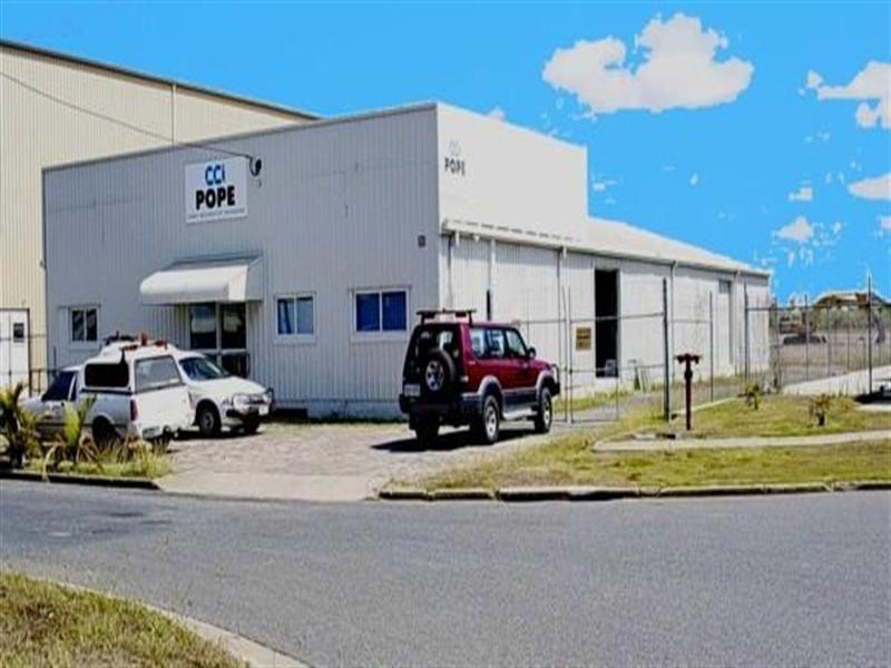 10 Elvin Street, Paget QLD 4740