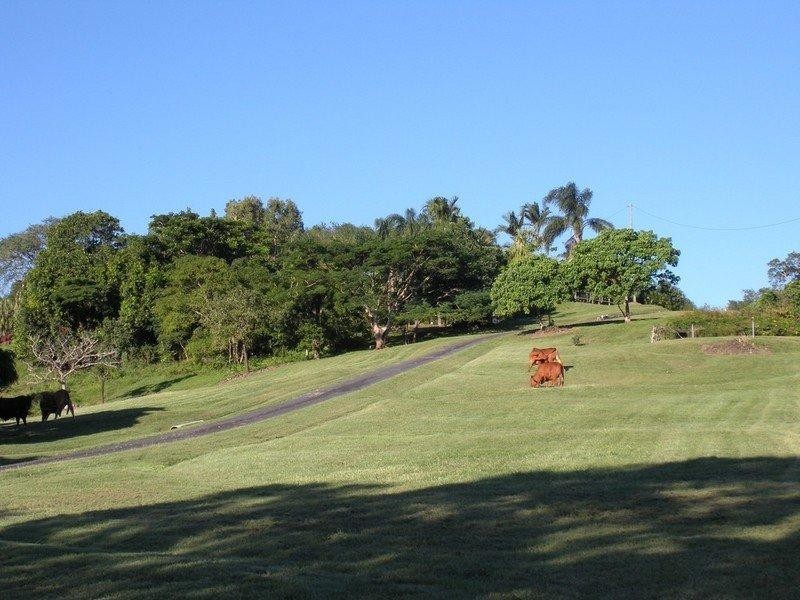 291 Nebia Coningsby Road, Mackay QLD 4740