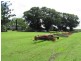 24165 Peak Downs Highway, Eton QLD 4741