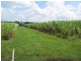 24165 Peak Downs Highway, Eton QLD 4741