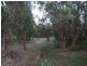 126 Waverley Street, Bucasia QLD 4750