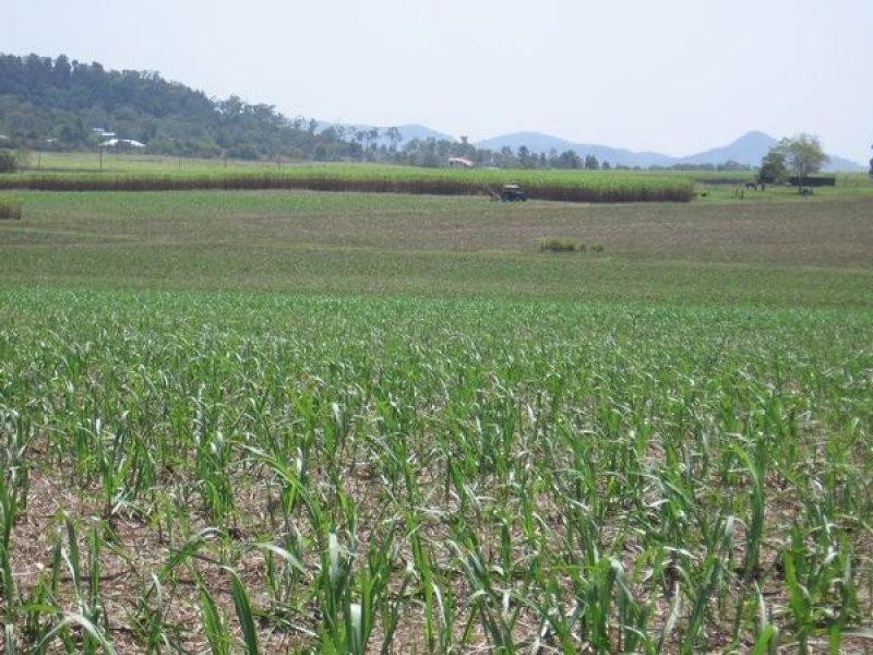 Lot 9 Wollingford Road, Walkerston QLD 4751