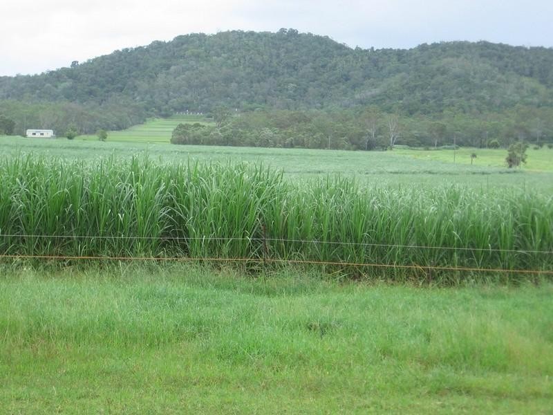 Lot 9 Wollingford Road, Walkerston QLD 4751