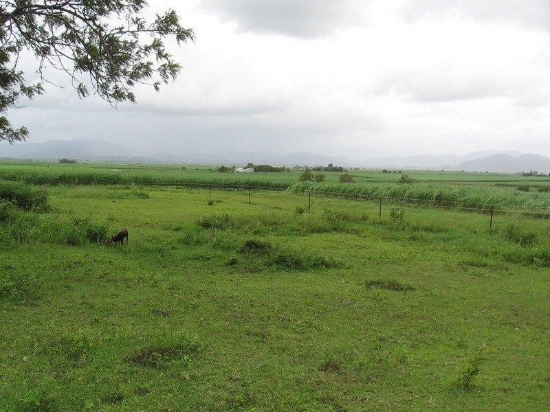 Lot 9 Wollingford Road, Walkerston QLD 4751