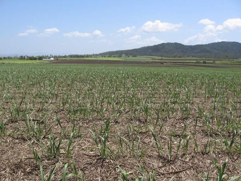 Lot 9 Wollingford Road, Walkerston QLD 4751