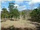 Lot 4 Thompson Court, Habana QLD 4740