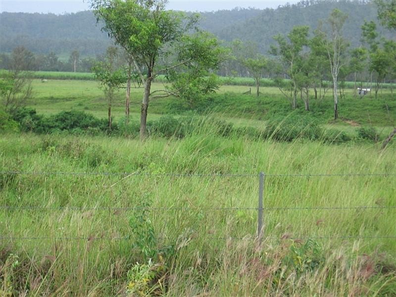 49 Bradford Road, Septimus QLD 4754