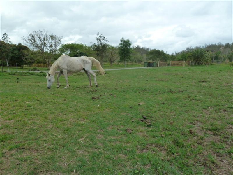 200 Sorensens Road, Mackay QLD 4740