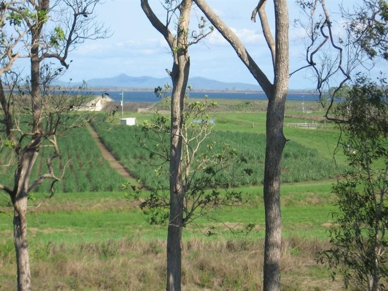 328 Leichhardt Road, Mirani QLD 4754