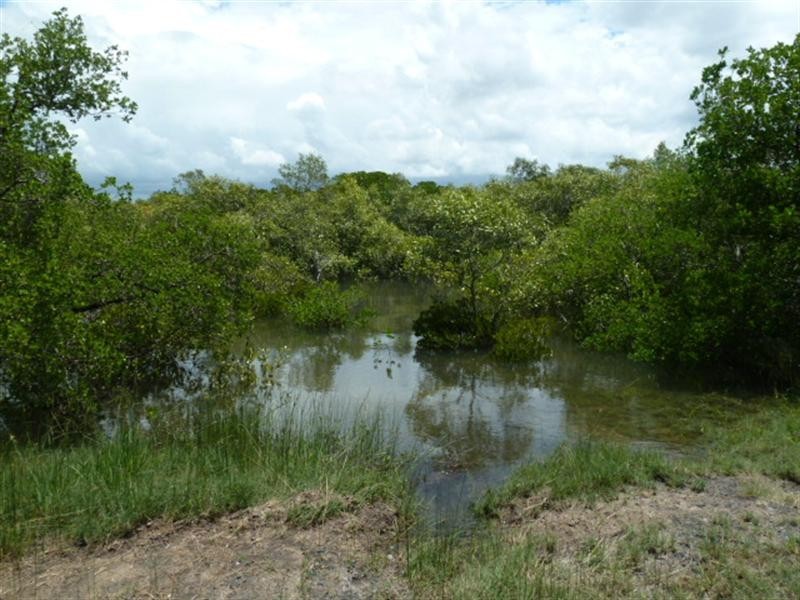 1 Goldston Street, North Mackay QLD 4740