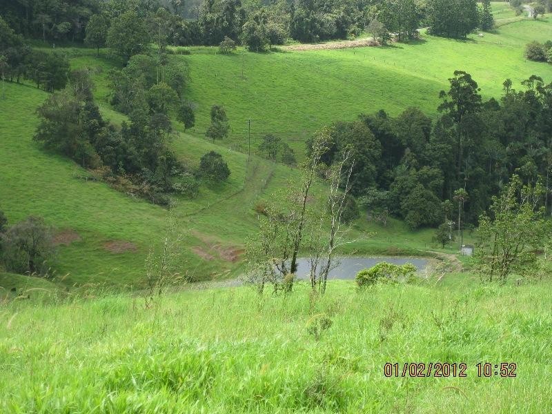 402 Eungella-Dam Road, Eungella QLD 4757