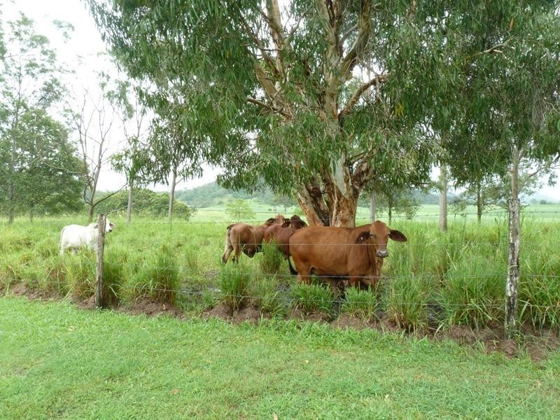 48 Venton Road, Sarina QLD 4737